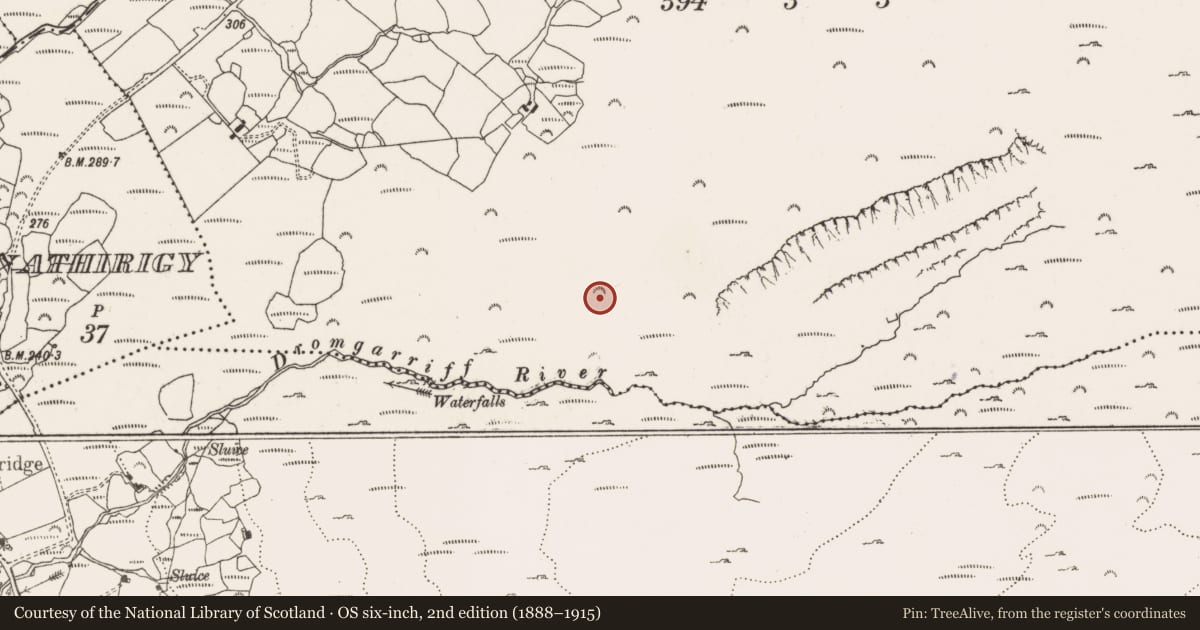 Ordnance Survey six-inch map, 2nd edition (1888–1915) covering the location of Hut site, Derroograne, County Cork, with a pin at the register's coordinates
