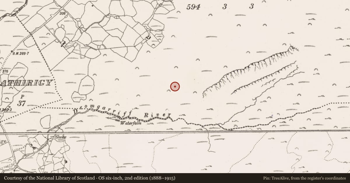 Ordnance Survey six-inch map, 2nd edition (1888–1915) covering the location of Cist, Derroograne, County Cork, with a pin at the register's coordinates