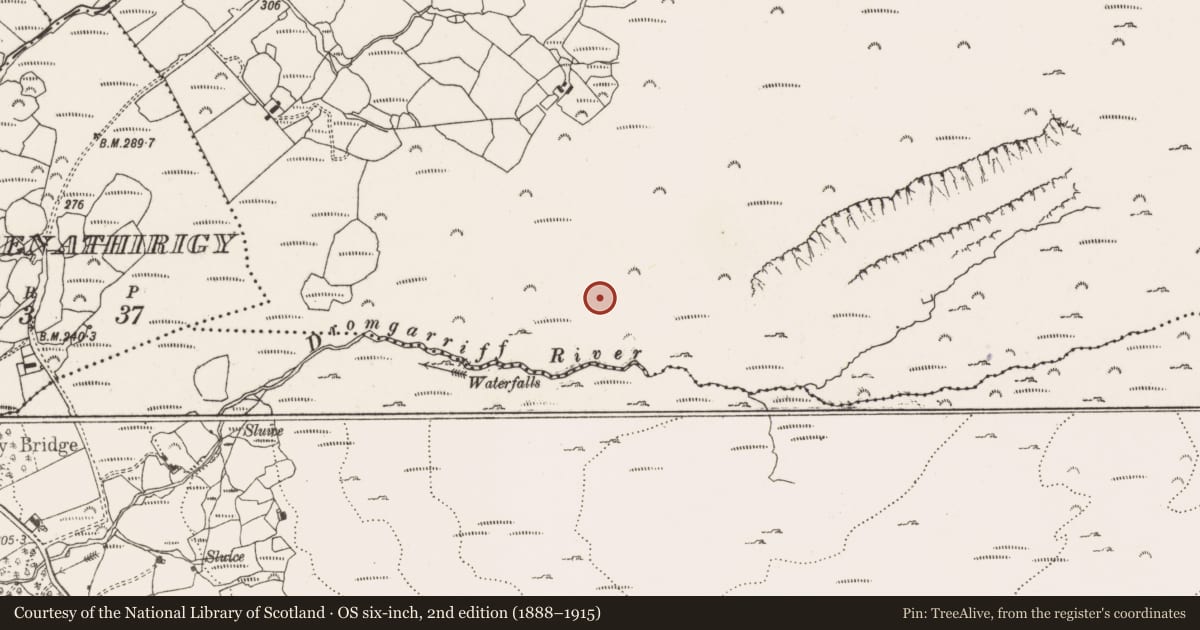 Ordnance Survey six-inch map, 2nd edition (1888–1915) covering the location of Field boundary, Derroograne, County Cork, with a pin at the register's coordinates