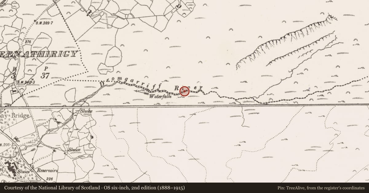 Ordnance Survey six-inch map, 2nd edition (1888–1915) covering the location of Fulacht fia, Derroograne, County Cork, with a pin at the register's coordinates