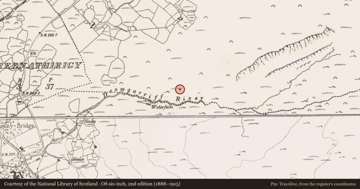 Ordnance Survey six-inch map, 2nd edition (1888–1915) covering the location of Hut site, Derroograne, County Cork, with a pin at the register's coordinates