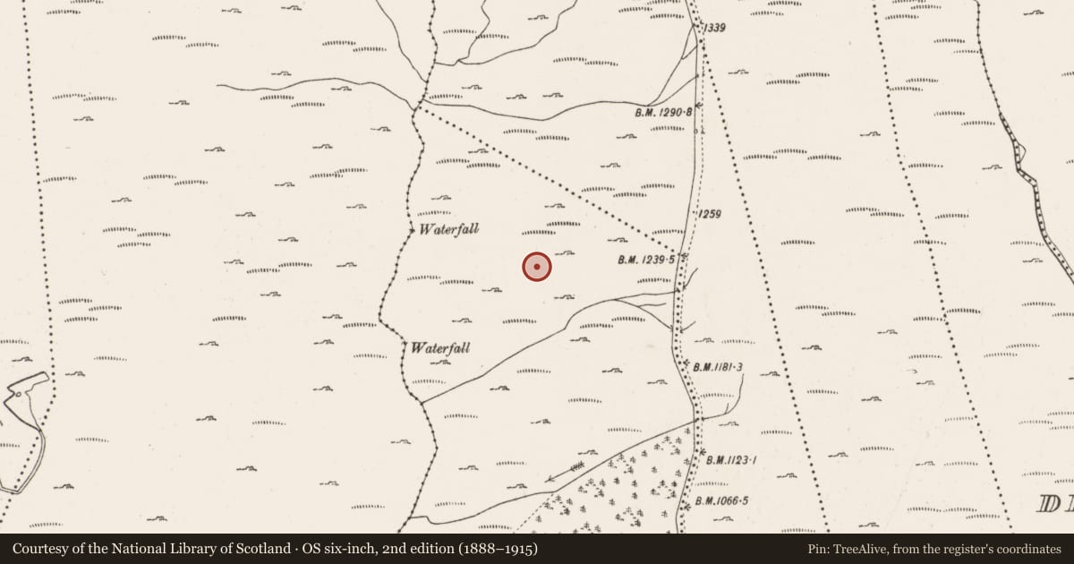 Ordnance Survey six-inch map, 2nd edition (1888–1915) covering the location of Enclosure, Inchinagoum, County Cork, with a pin at the register's coordinates