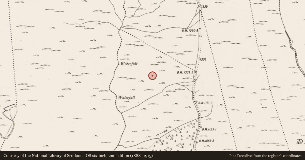 Ordnance Survey six-inch map, 2nd edition (1888–1915) covering the location of Hut site, Inchinagoum, County Cork, with a pin at the register's coordinates