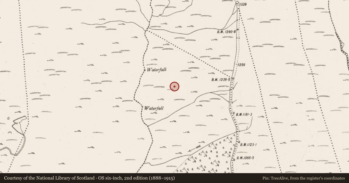 Ordnance Survey six-inch map, 2nd edition (1888–1915) covering the location of Hut site, Inchinagoum, County Cork, with a pin at the register's coordinates