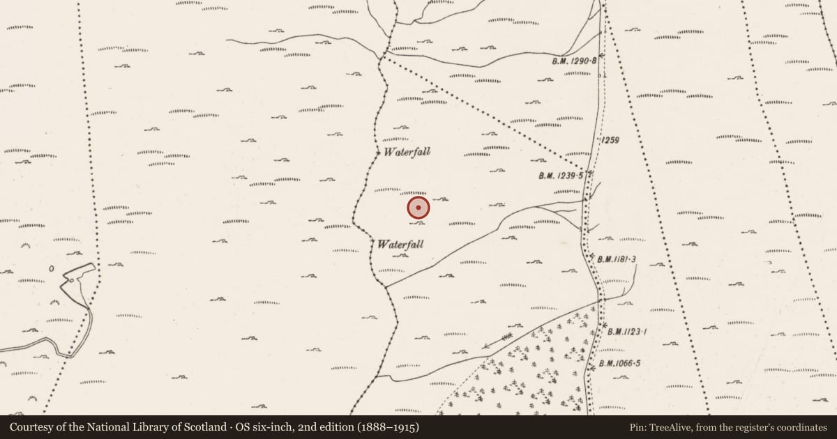 Ordnance Survey six-inch map, 2nd edition (1888–1915) covering the location of Enclosure, Inchinagoum, County Cork, with a pin at the register's coordinates