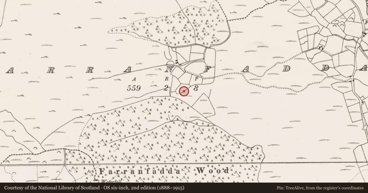Ordnance Survey six-inch map, 2nd edition (1888–1915) covering the location of Standing stone, Farranfadda, County Cork, with a pin at the register's coordinates