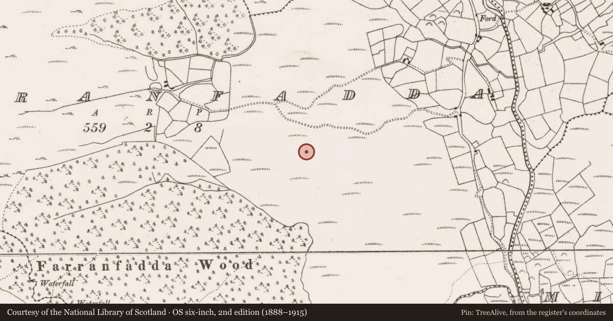 Ordnance Survey six-inch map, 2nd edition (1888–1915) covering the location of Standing stone, Farranfadda, County Cork, with a pin at the register's coordinates