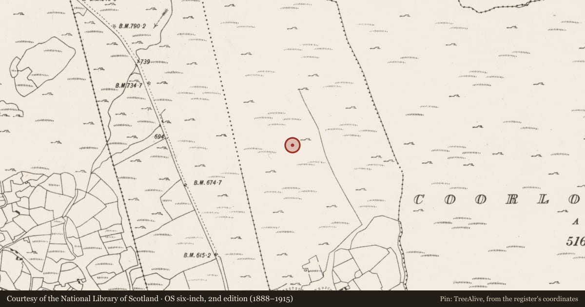 Ordnance Survey six-inch map, 2nd edition (1888–1915) covering the location of Field boundary, Carran, County Cork, with a pin at the register's coordinates