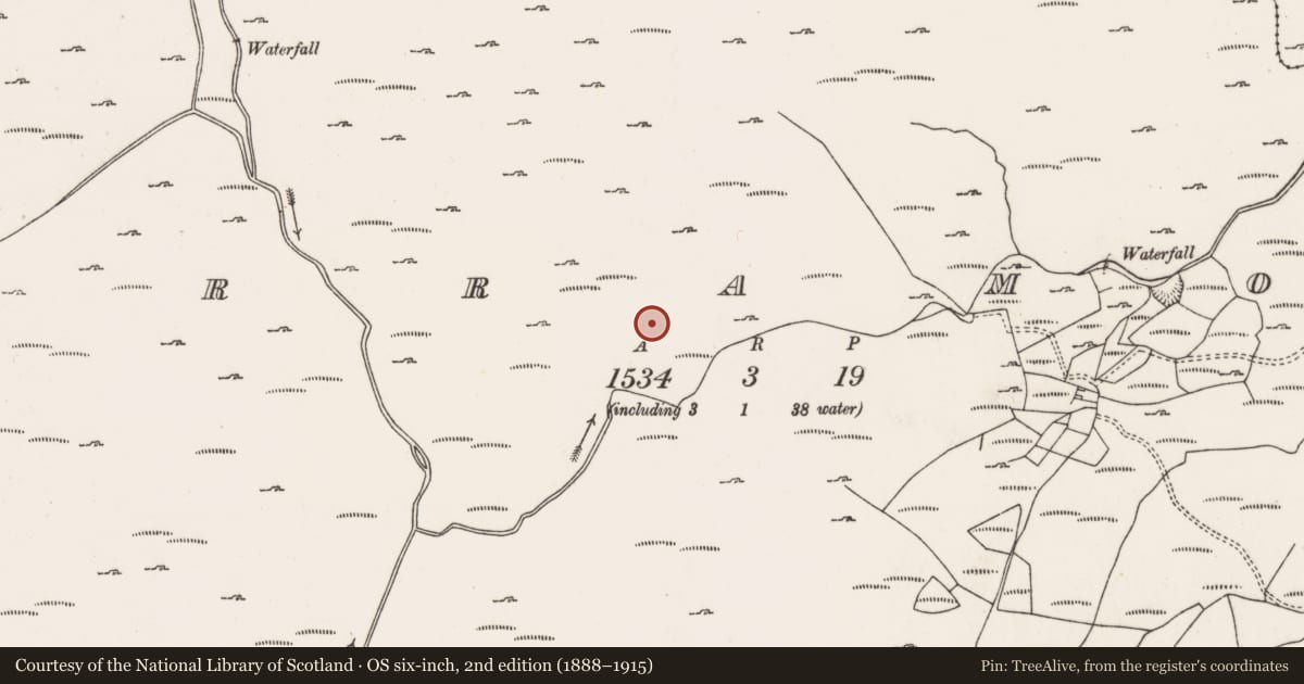 Ordnance Survey six-inch map, 2nd edition (1888–1915) covering the location of Anomalous stone group, Curramore, County Cork, with a pin at the register's coordinates