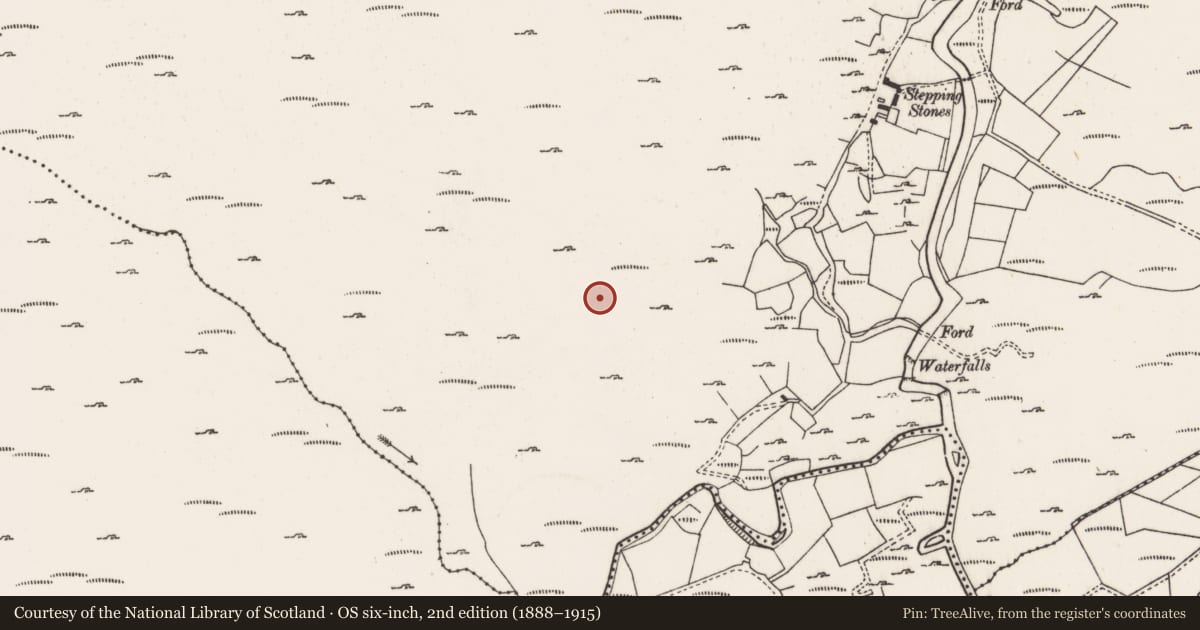 Ordnance Survey six-inch map, 2nd edition (1888–1915) covering the location of Mine - copper, Derryclogher, County Cork, with a pin at the register's coordinates