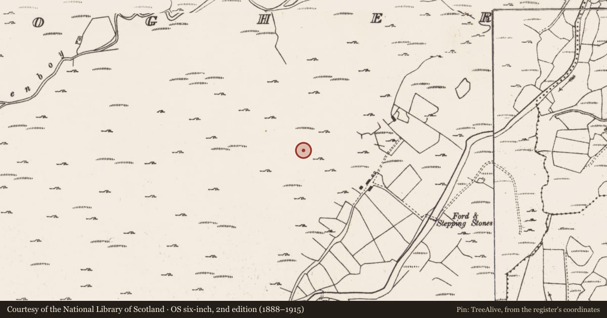 Ordnance Survey six-inch map, 2nd edition (1888–1915) covering the location of Mine - copper, Derryclogher, County Cork, with a pin at the register's coordinates