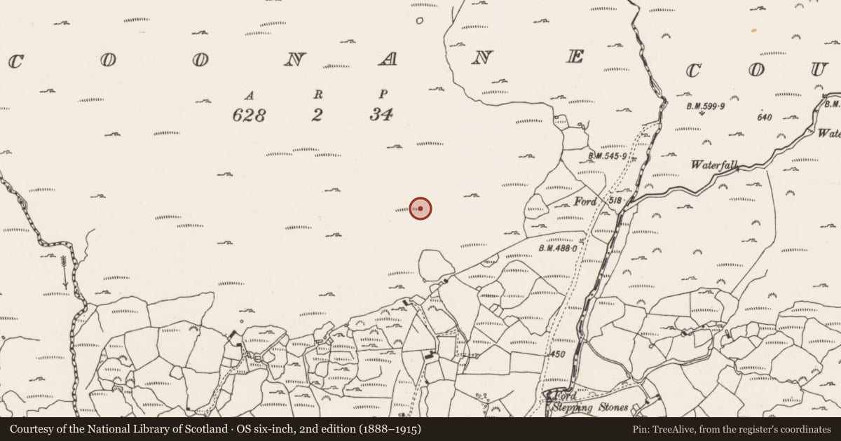 Ordnance Survey six-inch map, 2nd edition (1888–1915) covering the location of Fulacht fia, Coonane, County Cork, with a pin at the register's coordinates