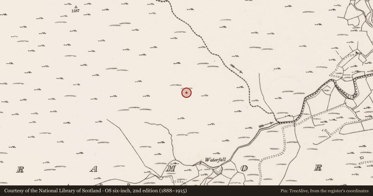Ordnance Survey six-inch map, 2nd edition (1888–1915) covering the location of Field boundary, Curramore, County Cork, with a pin at the register's coordinates