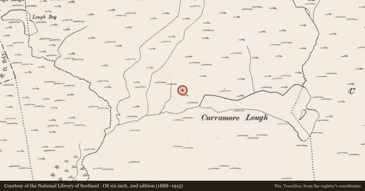 Ordnance Survey six-inch map, 2nd edition (1888–1915) covering the location of Hut site, Derryduff More, County Cork, with a pin at the register's coordinates