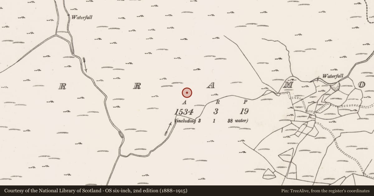 Ordnance Survey six-inch map, 2nd edition (1888–1915) covering the location of Standing stone, Curramore, County Cork, with a pin at the register's coordinates