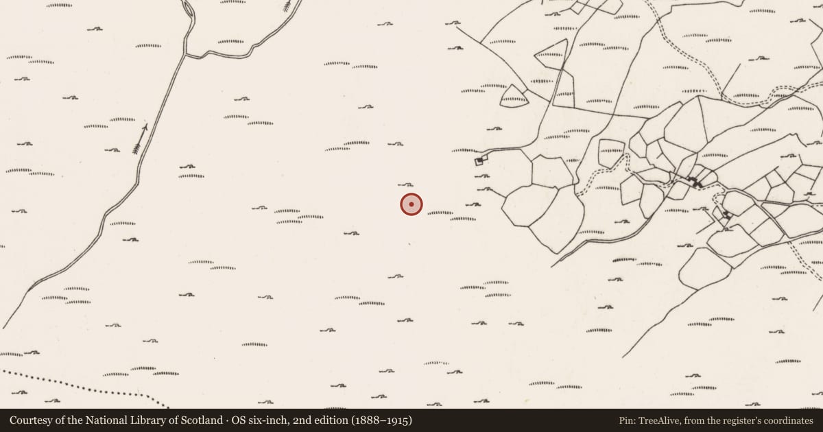 Ordnance Survey six-inch map, 2nd edition (1888–1915) covering the location of Cist, Curramore, County Cork, with a pin at the register's coordinates