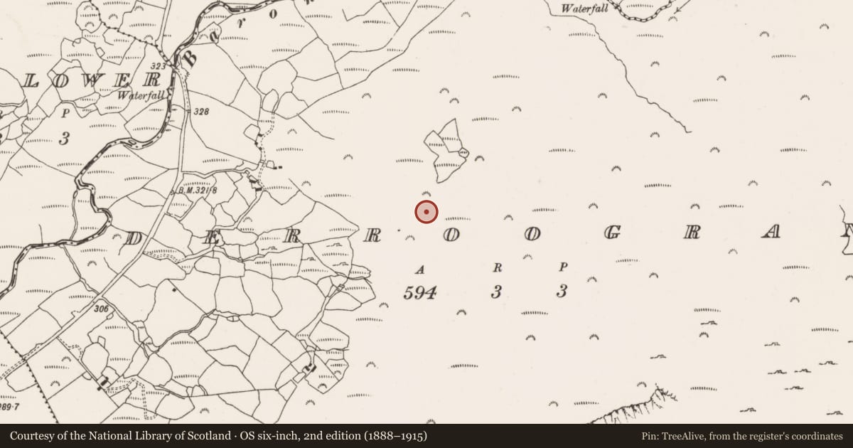 Ordnance Survey six-inch map, 2nd edition (1888–1915) covering the location of Fulacht fia, Derroograne, County Cork, with a pin at the register's coordinates