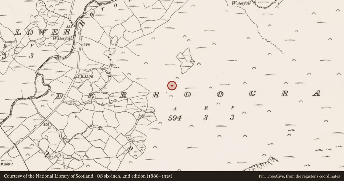 Ordnance Survey six-inch map, 2nd edition (1888–1915) covering the location of Fulacht fia, Derroograne, County Cork, with a pin at the register's coordinates