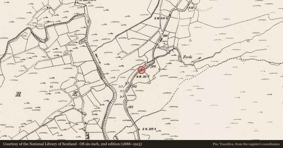 Ordnance Survey six-inch map, 2nd edition (1888–1915) covering the location of Bullaun stone, Derrynafinchin, County Cork, with a pin at the register's coordinates
