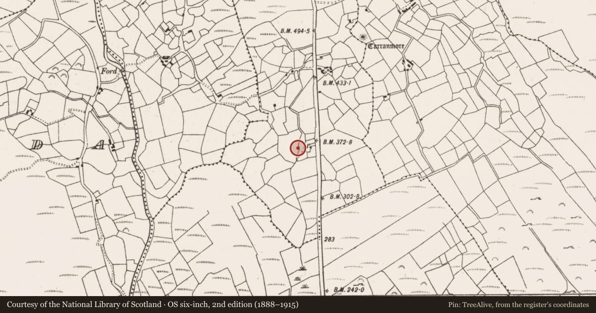 Ordnance Survey six-inch map, 2nd edition (1888–1915) covering the location of Burial ground, Derrynakilla, County Cork, with a pin at the register's coordinates