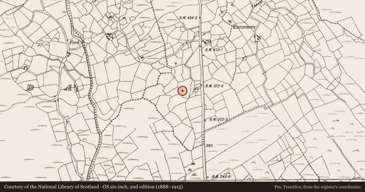 Ordnance Survey six-inch map, 2nd edition (1888–1915) covering the location of Bullaun stone, Derrynakilla, County Cork, with a pin at the register's coordinates