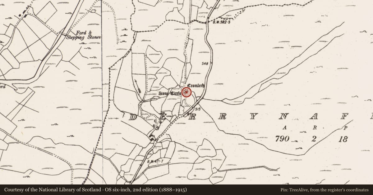 Ordnance Survey six-inch map, 2nd edition (1888–1915) covering the location of Boulder-burial, Derrynafinchin, County Cork, with a pin at the register's coordinates