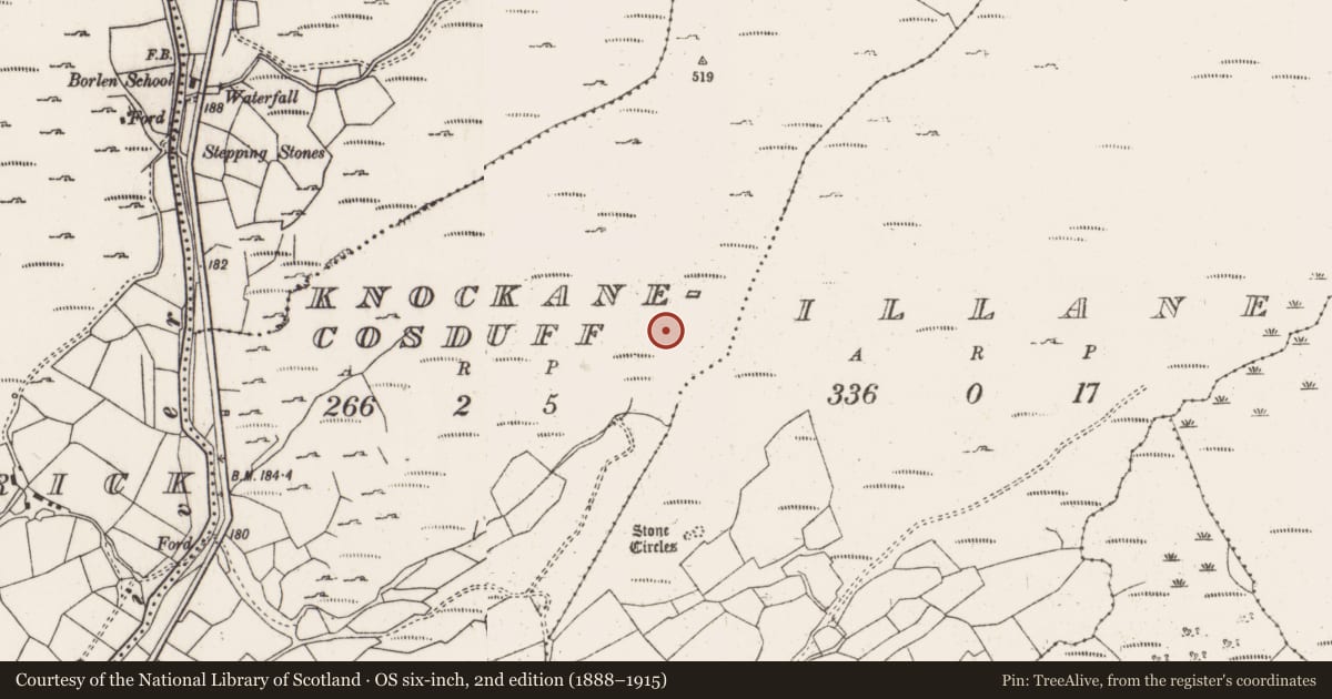 Ordnance Survey six-inch map, 2nd edition (1888–1915) covering the location of Standing stone, Knockanecosduff, County Cork, with a pin at the register's coordinates