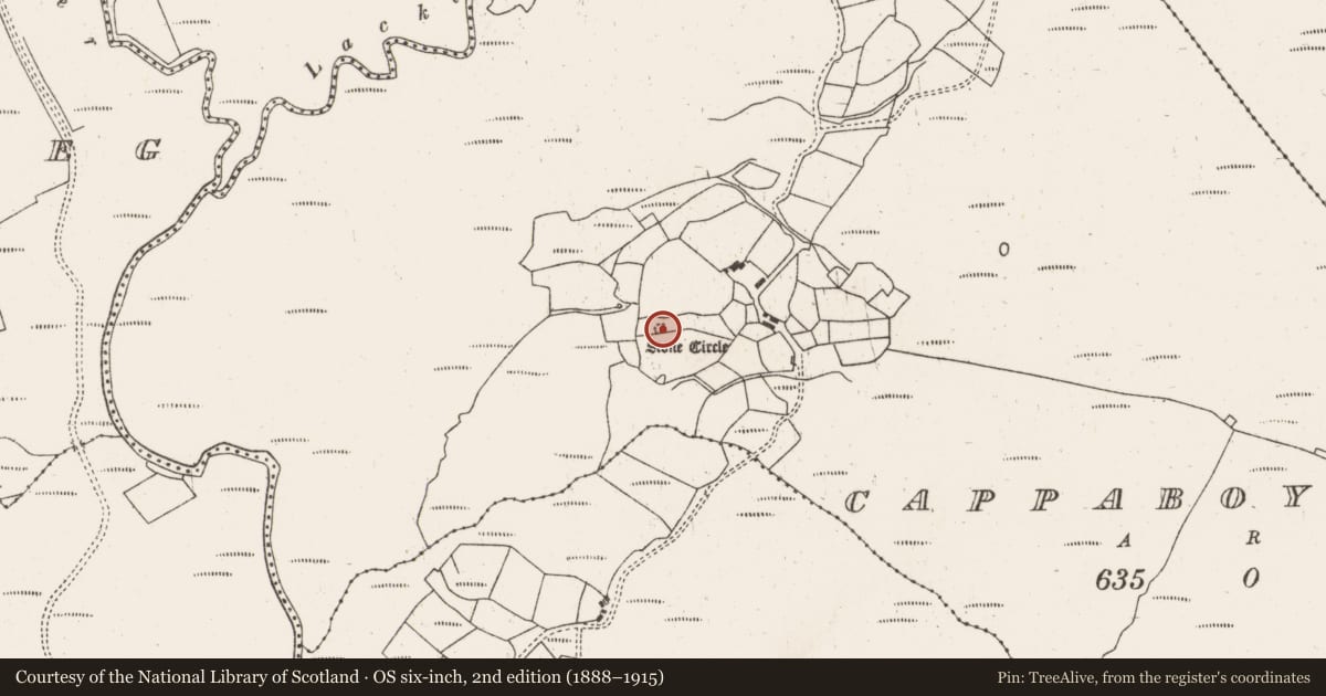 Ordnance Survey six-inch map, 2nd edition (1888–1915) covering the location of Stone circle - five-stone, Cappaboy Beg, County Cork, with a pin at the register's coordinates