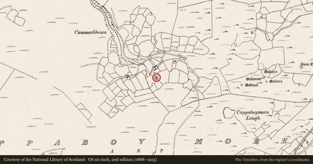 Ordnance Survey six-inch map, 2nd edition (1888–1915) covering the location of Enclosure, Cappaboy Beg, County Cork, with a pin at the register's coordinates