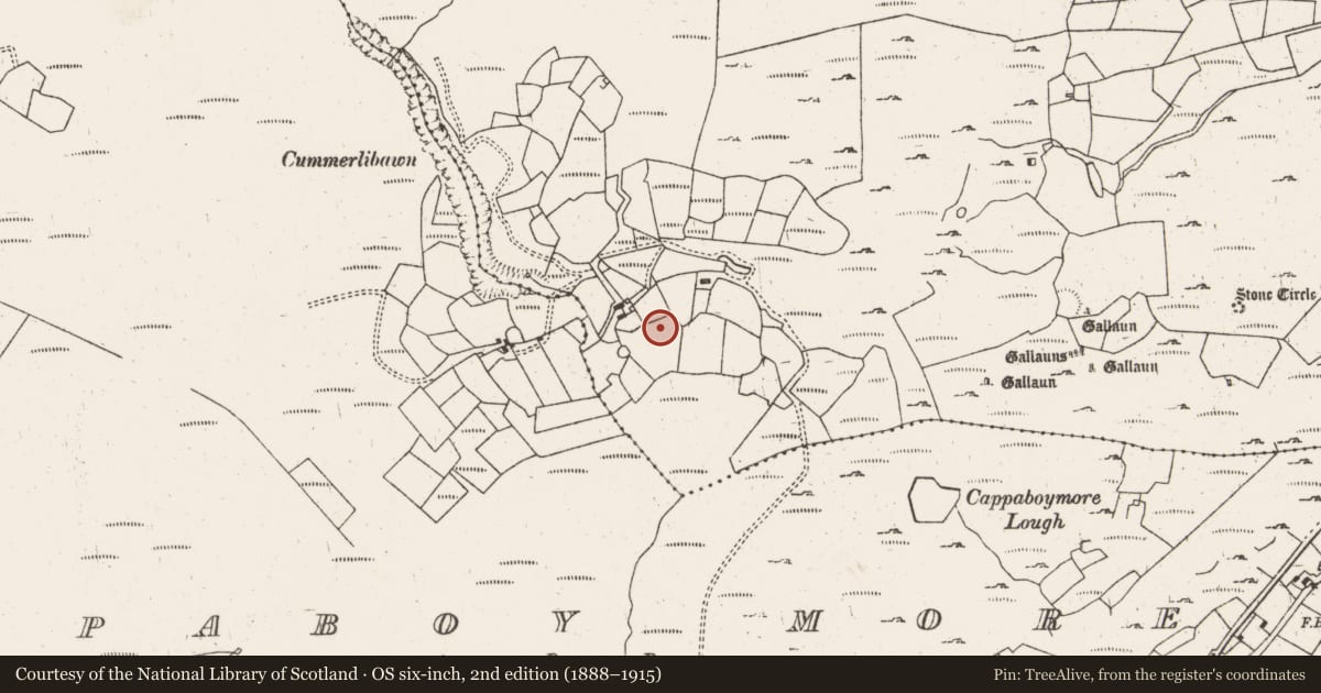 Ordnance Survey six-inch map, 2nd edition (1888–1915) covering the location of Burial ground, Cappaboy Beg, County Cork, with a pin at the register's coordinates