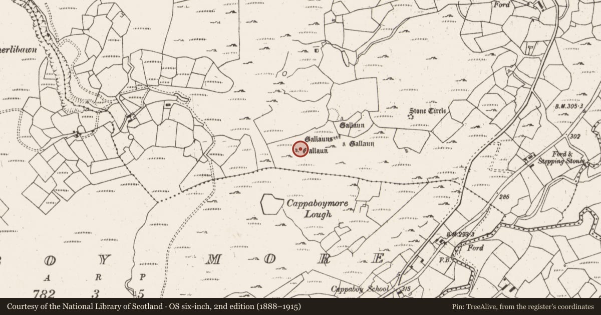 Ordnance Survey six-inch map, 2nd edition (1888–1915) covering the location of Standing stone - pair, Cappaboy Beg, County Cork, with a pin at the register's coordinates