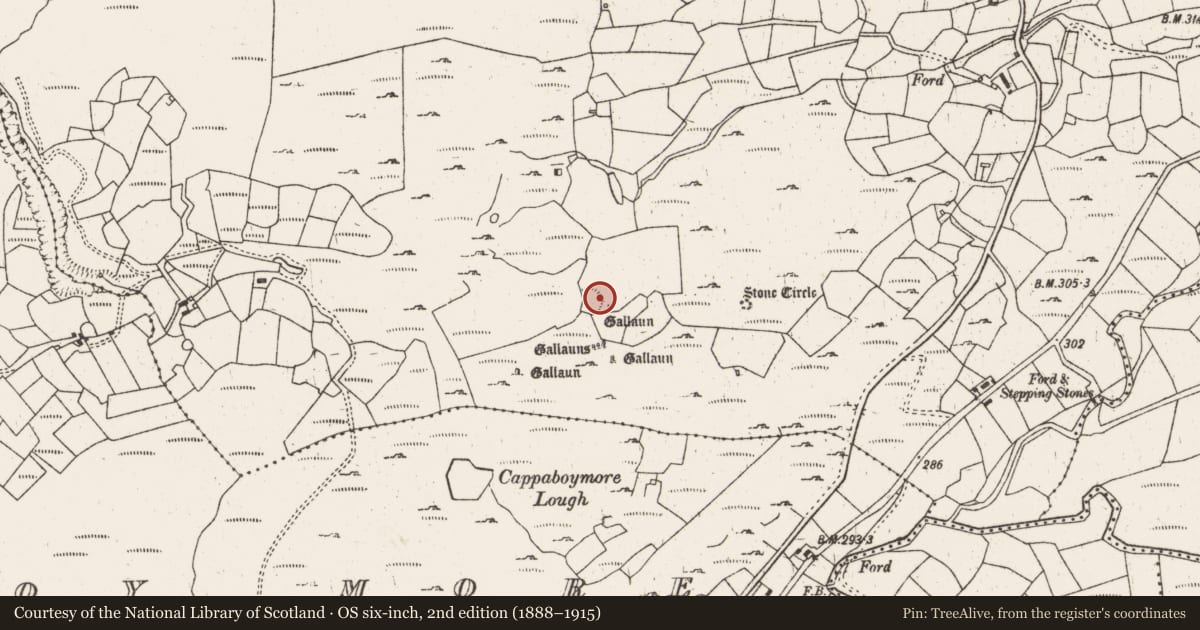 Ordnance Survey six-inch map, 2nd edition (1888–1915) covering the location of Ringfort - cashel, Cappaboy Beg, County Cork, with a pin at the register's coordinates
