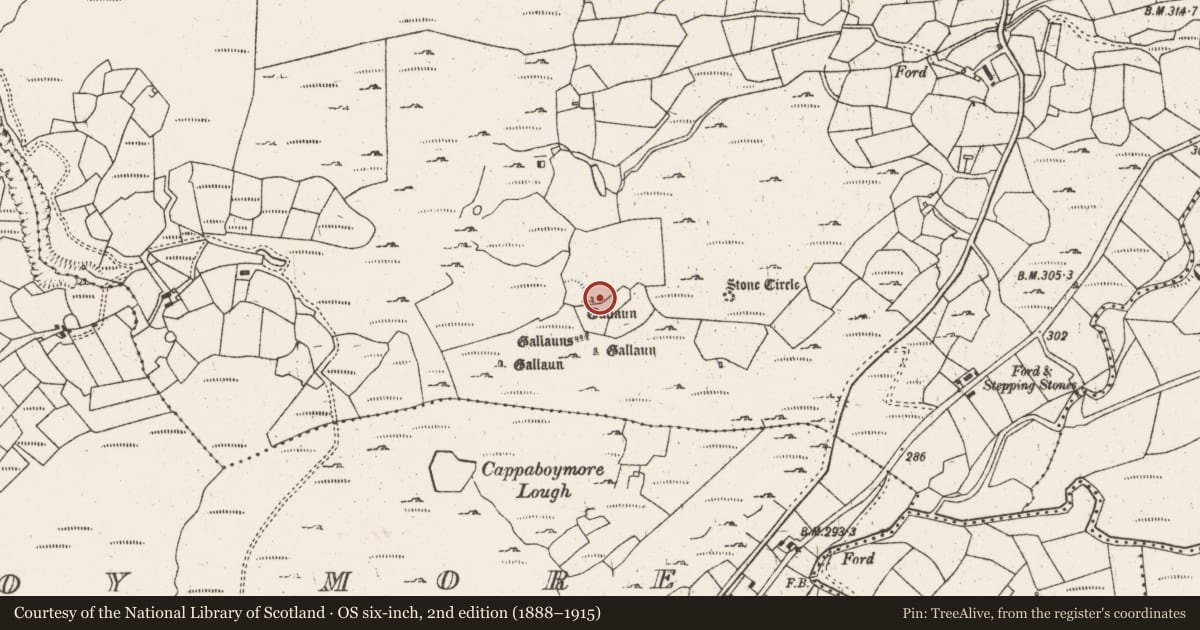 Ordnance Survey six-inch map, 2nd edition (1888–1915) covering the location of Standing stone, Cappaboy Beg, County Cork, with a pin at the register's coordinates