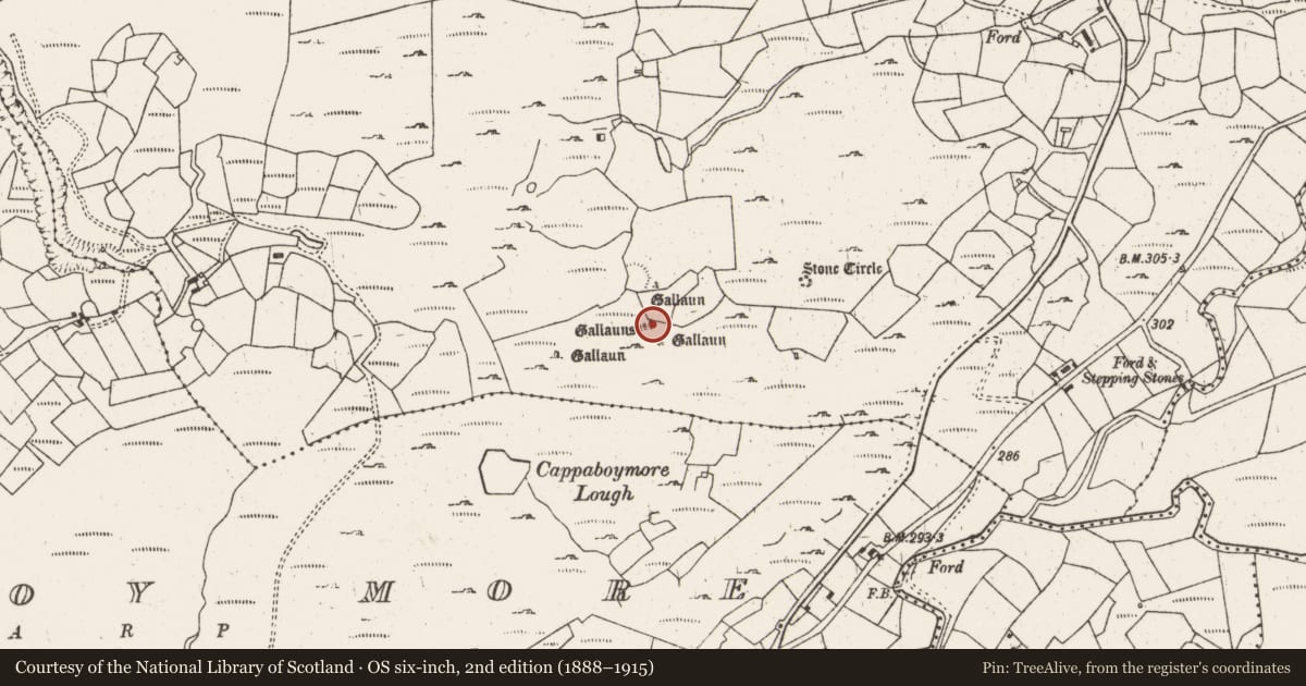 Ordnance Survey six-inch map, 2nd edition (1888–1915) covering the location of Four poster, Cappaboy Beg, County Cork, with a pin at the register's coordinates