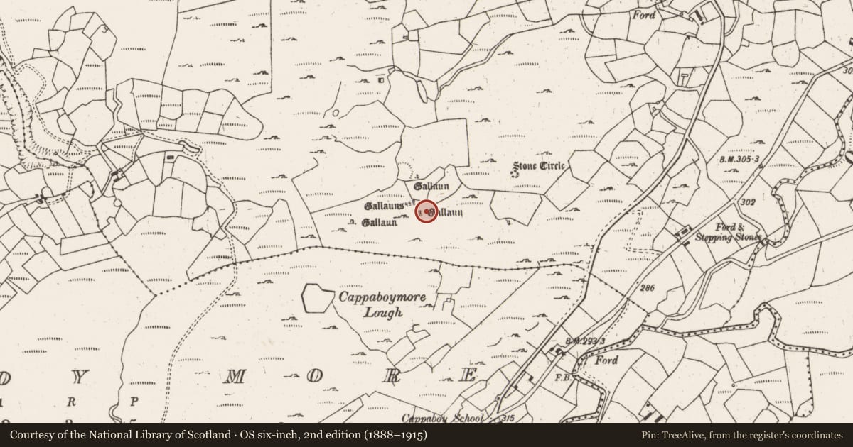 Ordnance Survey six-inch map, 2nd edition (1888–1915) covering the location of Standing stone, Cappaboy Beg, County Cork, with a pin at the register's coordinates