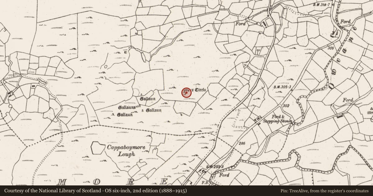 Ordnance Survey six-inch map, 2nd edition (1888–1915) covering the location of Standing stone, Cappaboy Beg, County Cork, with a pin at the register's coordinates