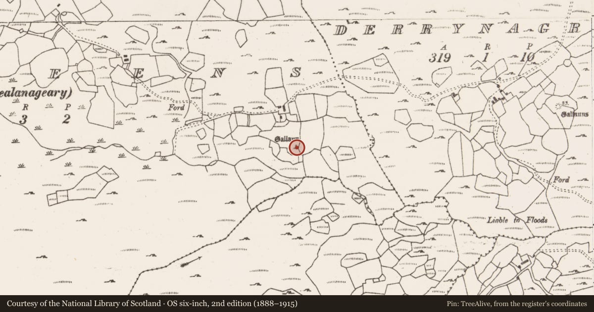 Ordnance Survey six-inch map, 2nd edition (1888–1915) covering the location of Standing stone, Dooneens (Muskerry West By., Inchigeelagh Par.), County Cork, with a pin at the register's coordinates