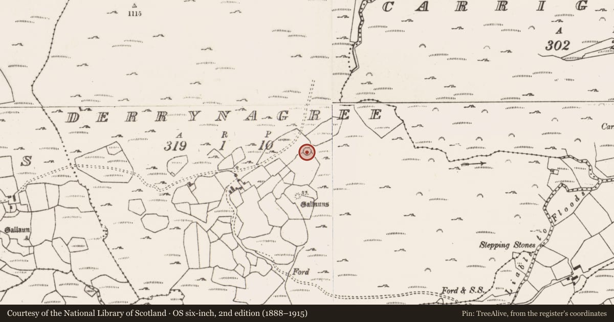 Ordnance Survey six-inch map, 2nd edition (1888–1915) covering the location of Ringfort - cashel, Derrynagree, County Cork, with a pin at the register's coordinates