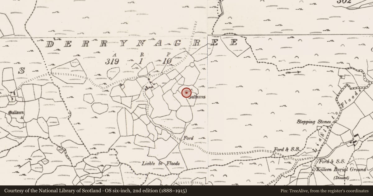 Ordnance Survey six-inch map, 2nd edition (1888–1915) covering the location of Enclosure, Derrynagree, County Cork, with a pin at the register's coordinates