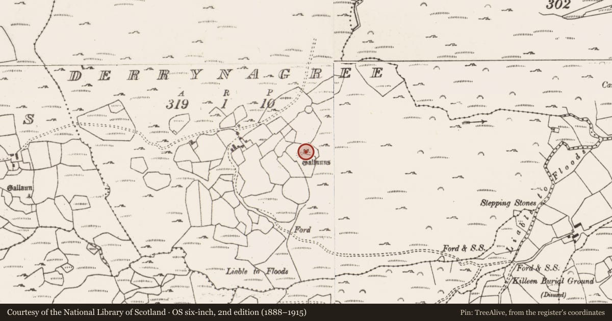 Ordnance Survey six-inch map, 2nd edition (1888–1915) covering the location of Stone row, Derrynagree, County Cork, with a pin at the register's coordinates