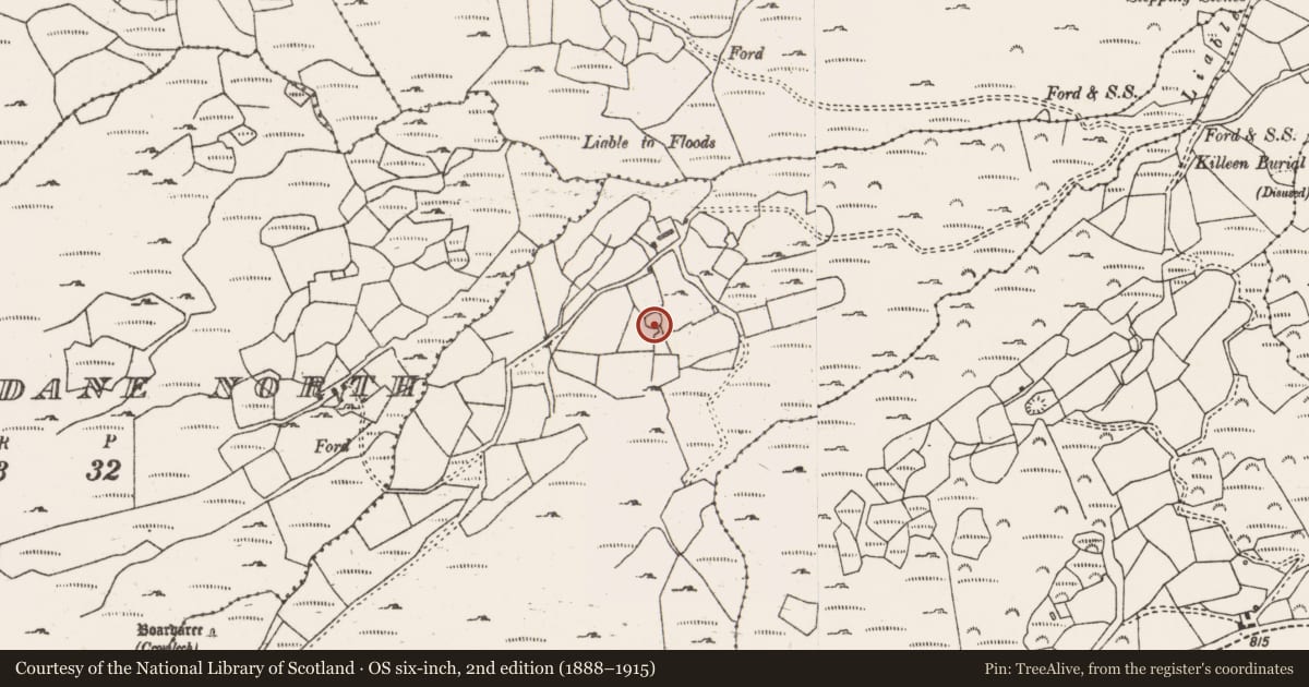 Ordnance Survey six-inch map, 2nd edition (1888–1915) covering the location of Ringfort - rath, Doire Uí Ríordáin Theas, County Cork, with a pin at the register's coordinates