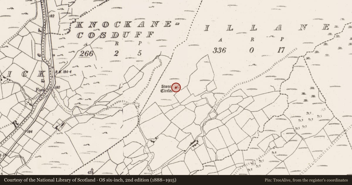 Ordnance Survey six-inch map, 2nd edition (1888–1915) covering the location of Stone circle - five-stone, Illane, County Cork, with a pin at the register's coordinates