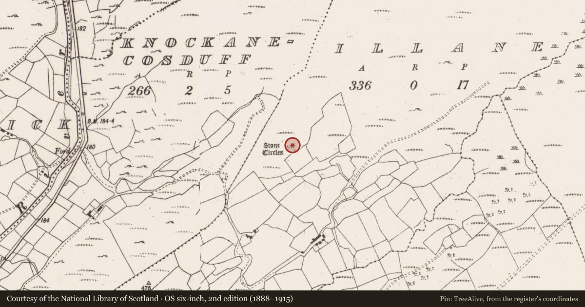 Ordnance Survey six-inch map, 2nd edition (1888–1915) covering the location of Cairn - unclassified, Illane, County Cork, with a pin at the register's coordinates