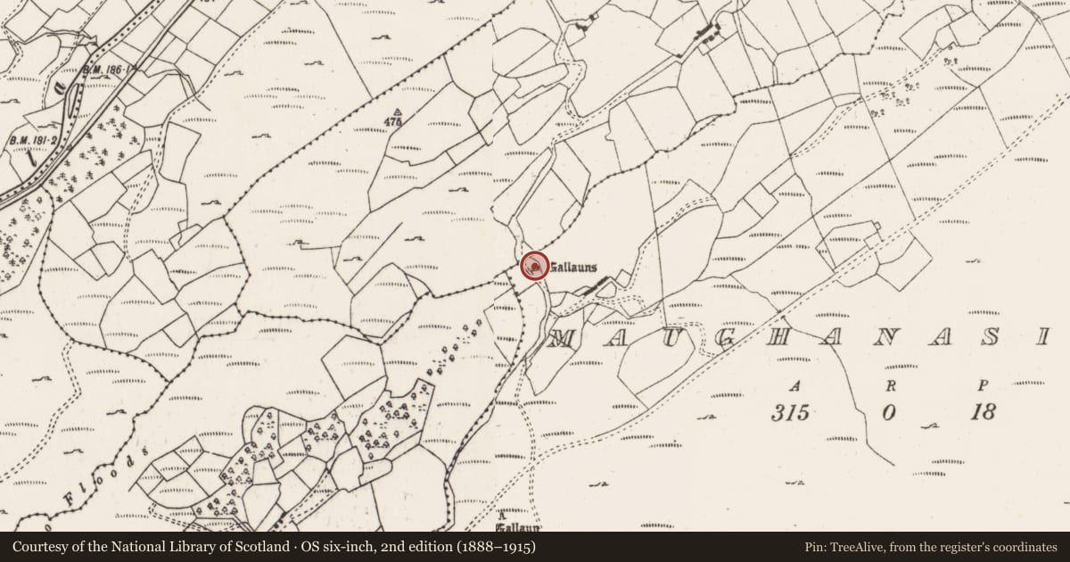 Ordnance Survey six-inch map, 2nd edition (1888–1915) covering the location of Standing stone, Maughanasilly, County Cork, with a pin at the register's coordinates