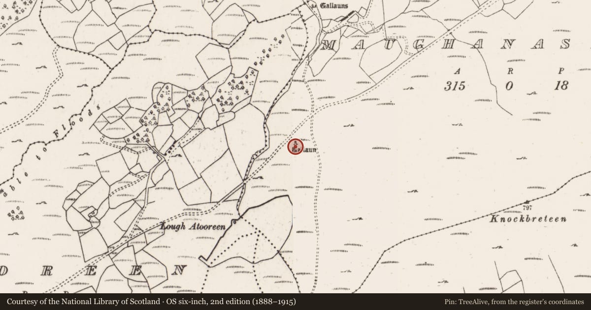 Ordnance Survey six-inch map, 2nd edition (1888–1915) covering the location of Stone row, Maughanasilly, County Cork, with a pin at the register's coordinates