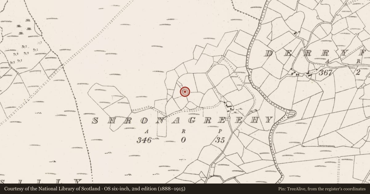 Ordnance Survey six-inch map, 2nd edition (1888–1915) covering the location of Ringfort - cashel, Shronagreehy, County Cork, with a pin at the register's coordinates