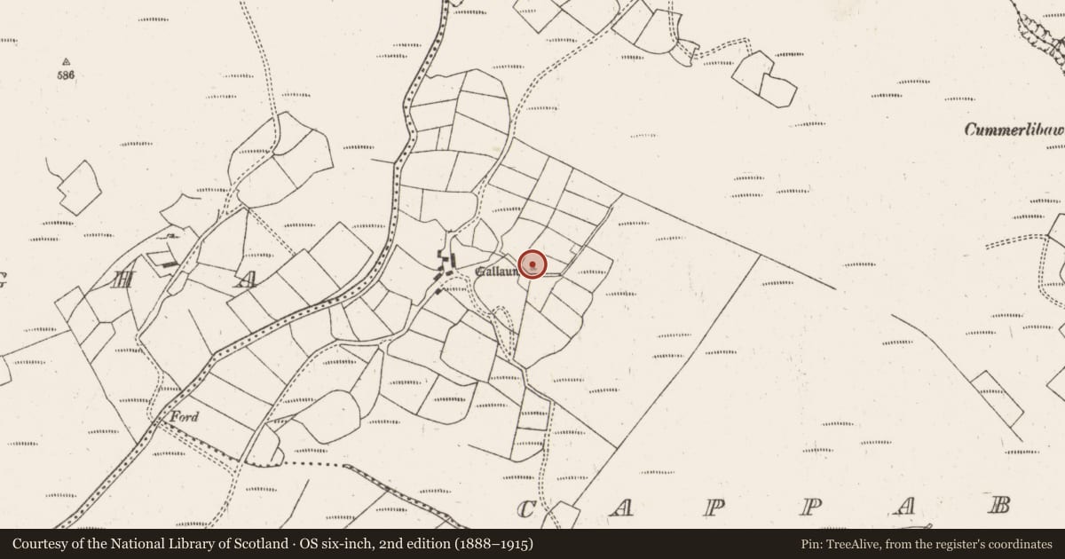 Ordnance Survey six-inch map, 2nd edition (1888–1915) covering the location of Standing stone, Cappaboy More, County Cork, with a pin at the register's coordinates
