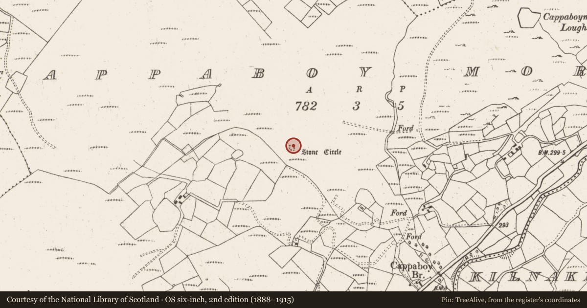 Ordnance Survey six-inch map, 2nd edition (1888–1915) covering the location of Anomalous stone group, Cappaboy More, County Cork, with a pin at the register's coordinates