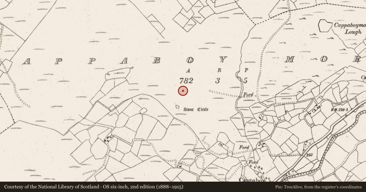 Ordnance Survey six-inch map, 2nd edition (1888–1915) covering the location of Standing stone, Cappaboy More, County Cork, with a pin at the register's coordinates