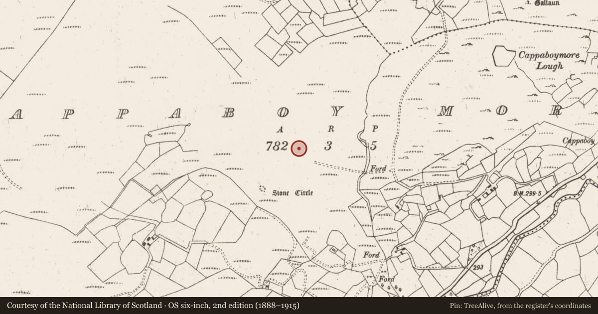 Ordnance Survey six-inch map, 2nd edition (1888–1915) covering the location of Standing stone, Cappaboy More, County Cork, with a pin at the register's coordinates